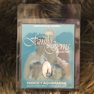 Family Gems Collection Austrian crystal gold charm